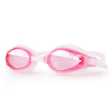 Arena Adult Japan Wide View Goggle